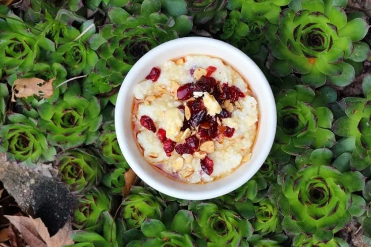 vegan grits with cranberries and almonds plant-based planted365.com veganosphere