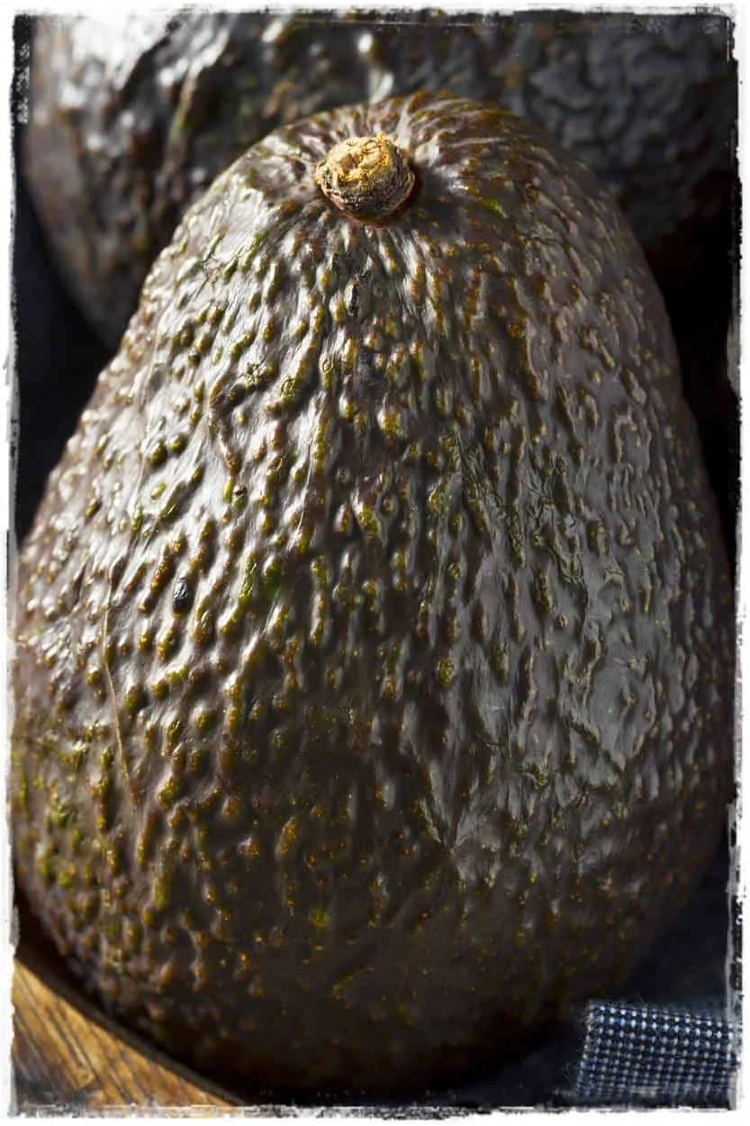 avocado