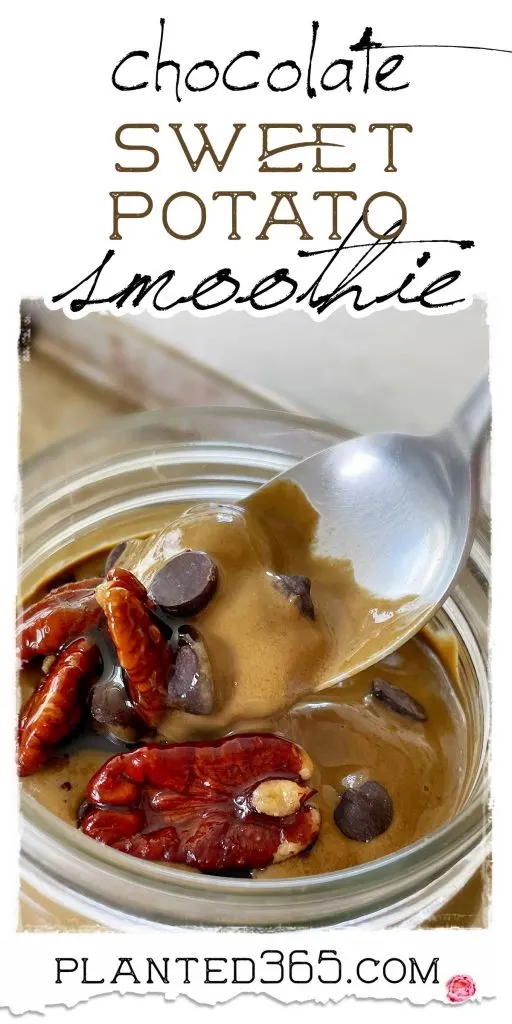 Chocolate Sweet Potato Smoothie Delicious Healthy Breakfast or Snack from Planted365