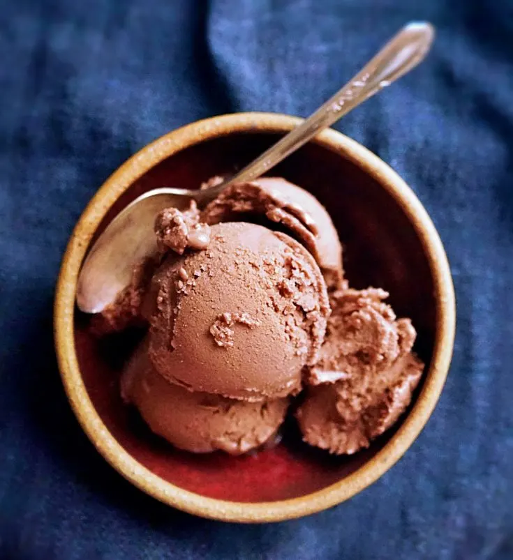 Homemade Chocolate Soy Ice Cream in the Ninja Creami Planted365