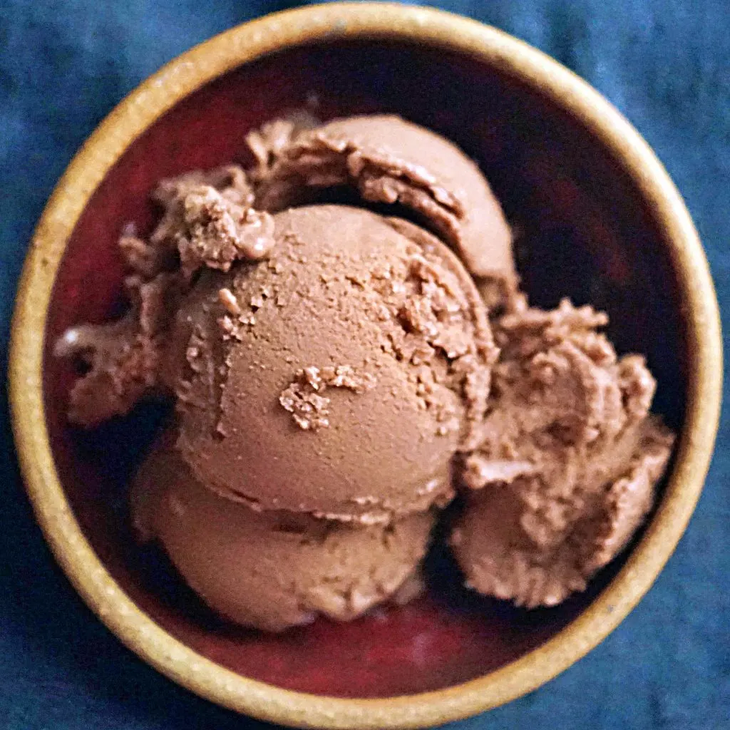 Homemade Chocolate Soy Ice Cream in the Ninja Creami Planted365