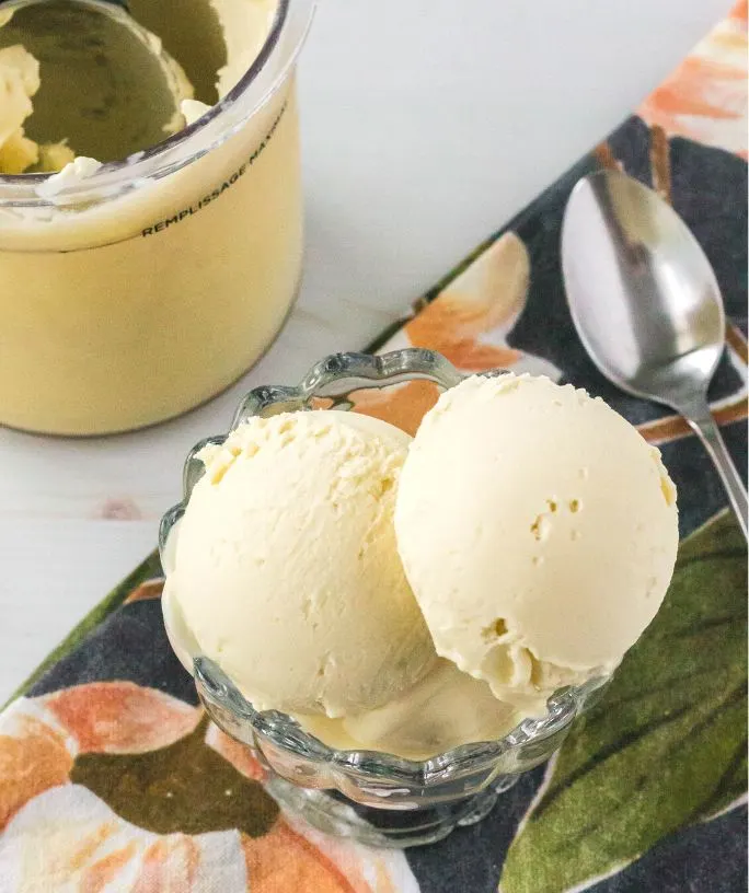 Image for Ninja Creami Dairy Free Vanilla Ice Cream