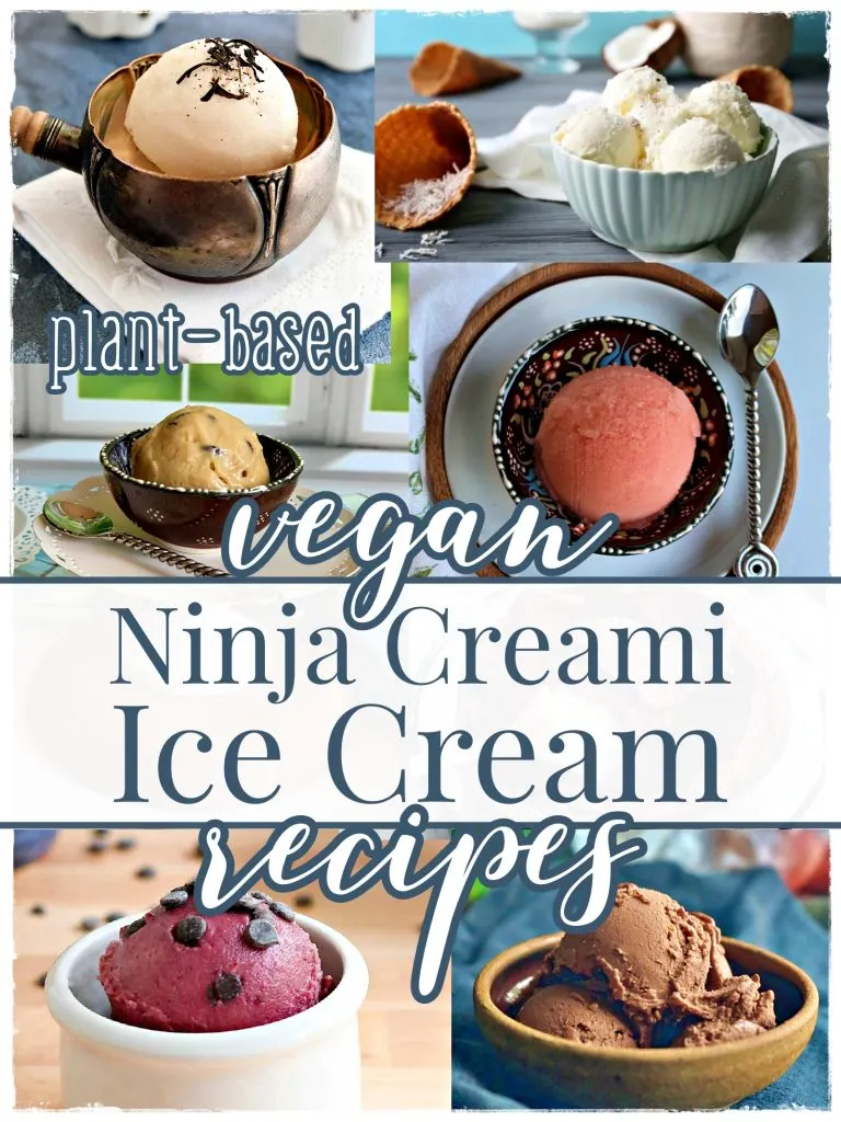 vegan ninja creami ice cream recipes
