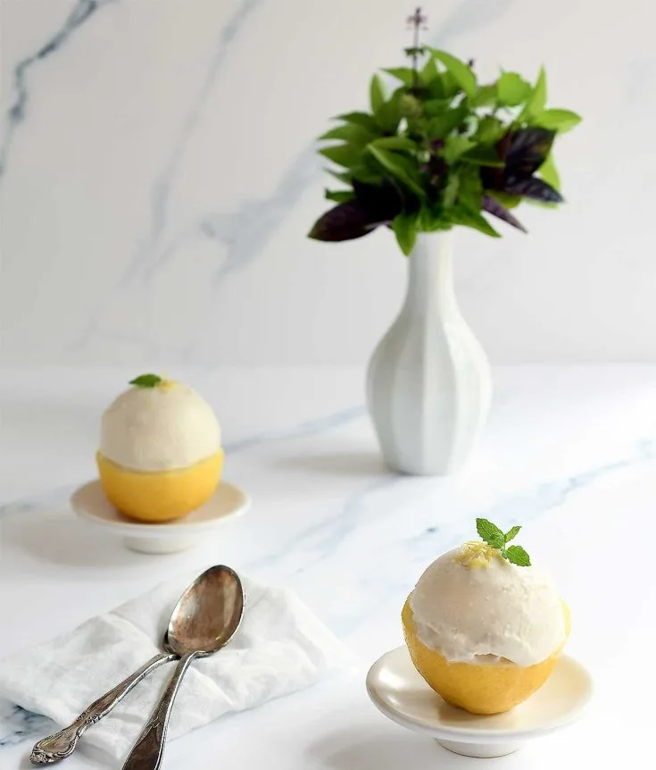 Image for Lemon Ninja Creami Frozen Yogurt Recipe: Dairy-Free & Plant-Based
