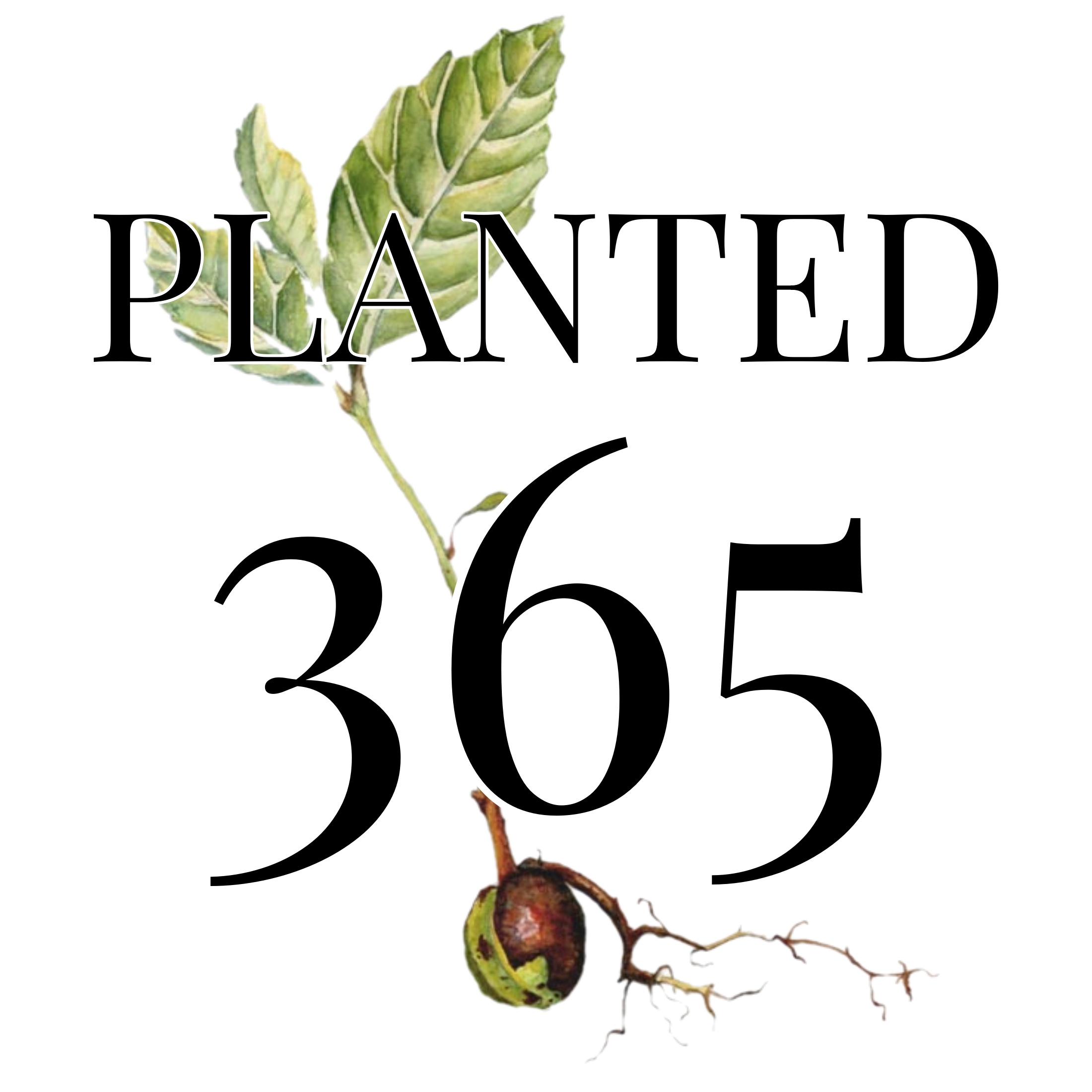 Planted365