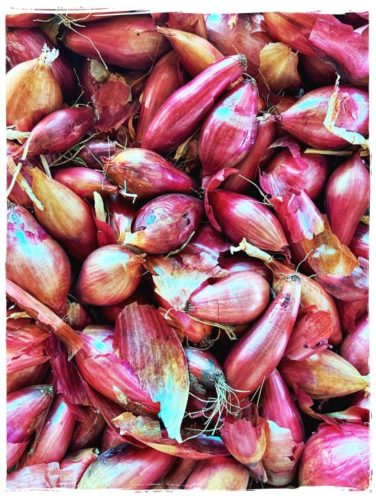 shallots