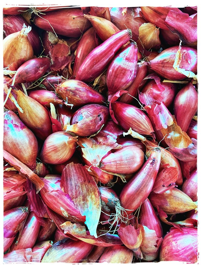 shallots