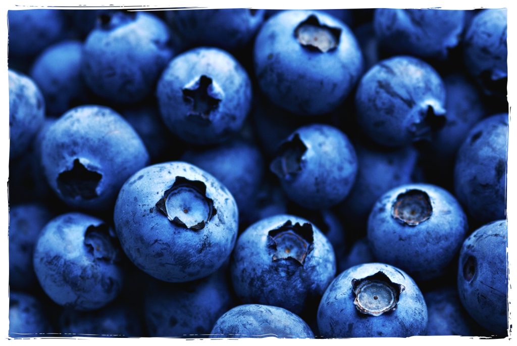 Wild-Rice-and-Blueberry-Salad-Easy-Vegan-Recipe-Planted365